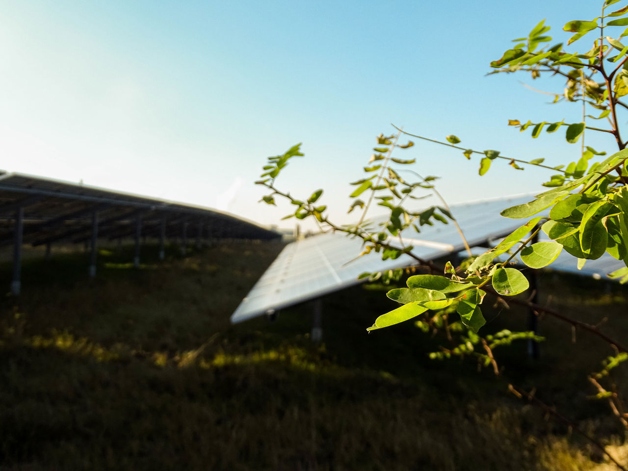 Solar panel